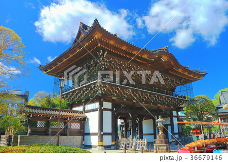 成田山新勝寺 仁王門 成田山新勝寺 仁王門 36679146