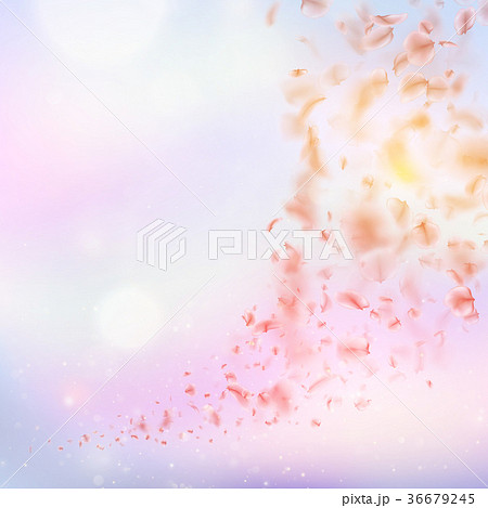 Sakura flying downwind petals on wind. EPS 10 36679245