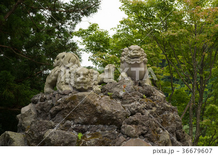 神奈川県　大山阿夫利神社　獅子山 36679607