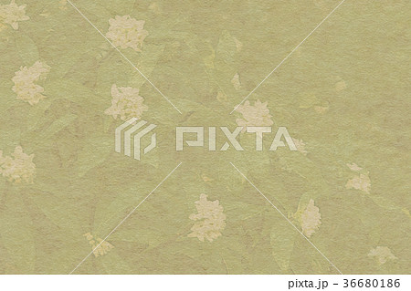 沈丁花 和紙 背景素材 沈丁花 和紙 背景素材 36680186