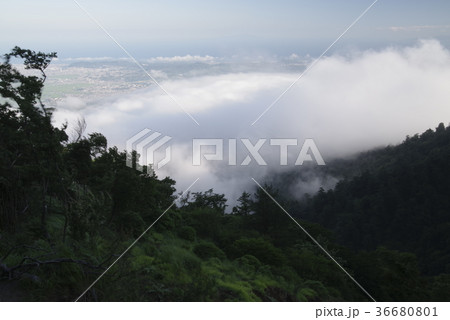 神奈川県 大山阿夫利神社 大山から湧く雲 神奈川県 大山阿夫利神社 大山から湧く雲 36680801