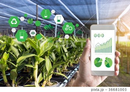 agriculture technology concept man Agronomist  36681003