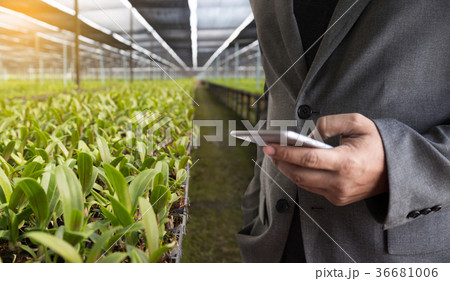 agriculture technology concept man Agronomist  36681006