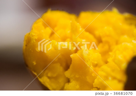 安納芋　焼き芋 36681070