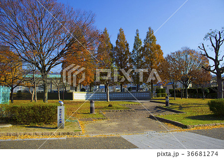 花園中央公園・ラグビーの森/大阪府東大阪市 花園中央公園・ラグビーの森/大阪府東大阪市 36681274