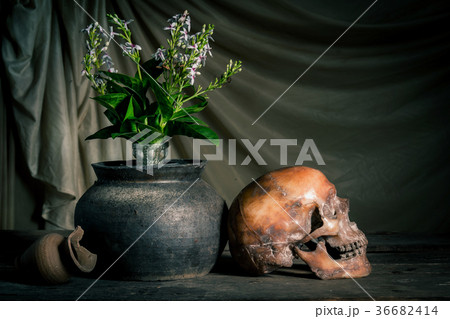 Human skull and flower vase old on wooden  36682414