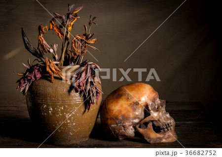 Human skull and flower vase old on wooden  36682752