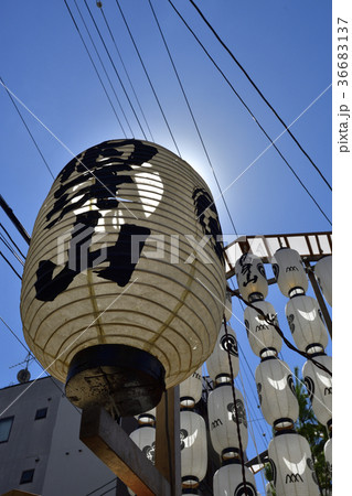 祇園祭 伯牙山 祇園祭 伯牙山 36683137