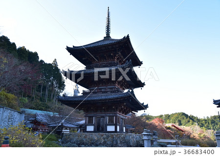 【西国三十三所】第六番　壷阪寺三重塔と冬晴れの空　奈良県高市郡高取町 36683400
