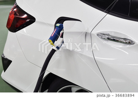 燃料電池自動車 36683894