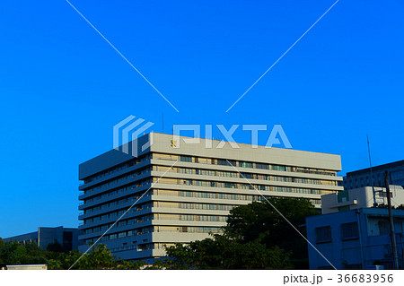 空と慶應大学病院 空と慶應大学病院 36683956