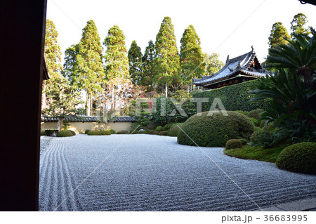 京の枯山水 京の枯山水 36683995