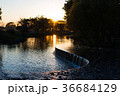 夕日に染まる小さな滝 36684129