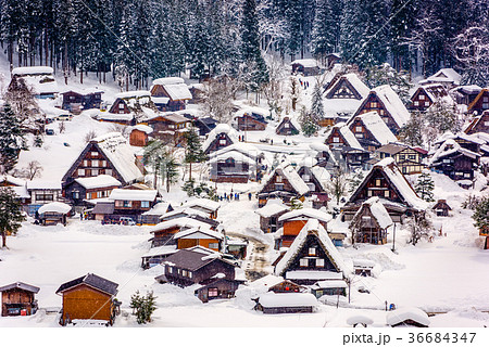 Japanese Winter Village 36684347