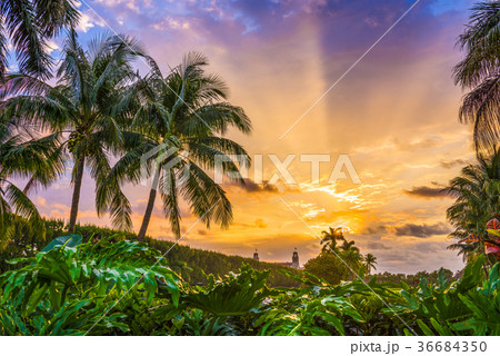 Florida, USA Sunrise 36684350