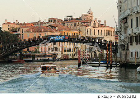 アカデミア橋 36685282