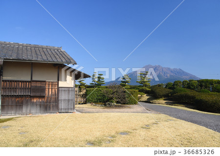 仙巌園の茶室秀成荘徒然庵と桜島 36685326