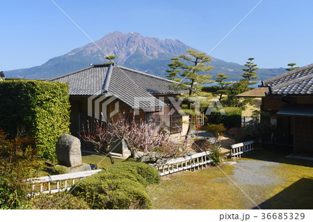 仙巌園の茶室秀成荘徒然庵と桜島 36685329