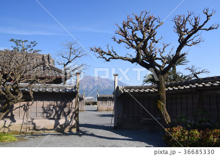 仙巌園内の町並みから見た桜島 36685330