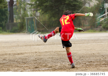 少年サッカー 36685745
