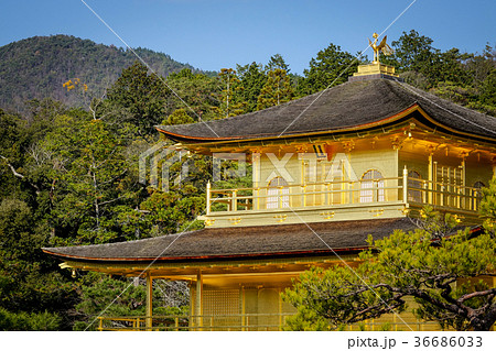 Kinkaku-ji Temple in Kyoto, Japan Kinkaku-ji Temple in Kyoto, Japan 36686033