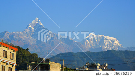 Himalaya Mountains, view from Ghandruk, Nepal Himalaya Mountains, view from Ghandruk, Nepal 36686239