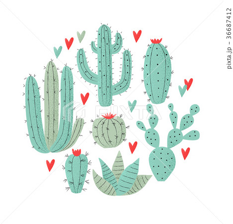 Cactus plant Cactus plant 36687412