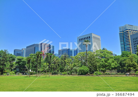 新緑の日比谷公園と丸の内 36687494