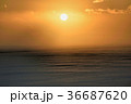冬の夕日 36687620