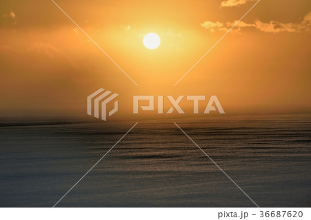 冬の夕日 36687620