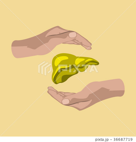 flat icon on theme world hepatitis day . liver in flat icon on theme world hepatitis day . liver in 36687719