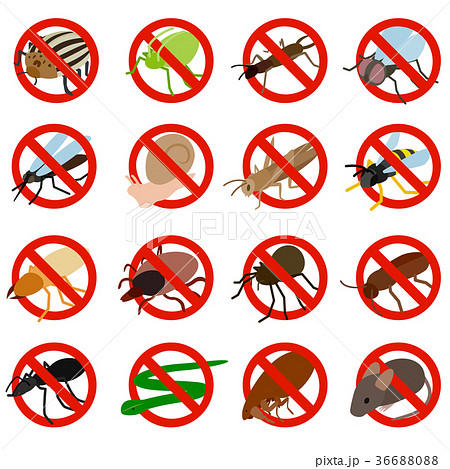 No insect sign icons set, isometric 3d style 36688088