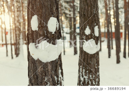 Winter smiley face on a tree 36689194