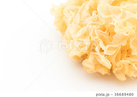 乾燥白キクラゲ:Dried White Wood Ear 36689480