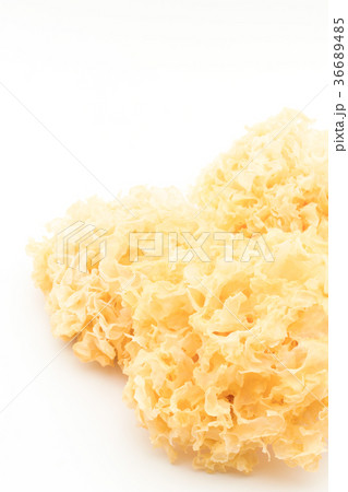 乾燥白キクラゲ:Dried White Wood Ear 36689485