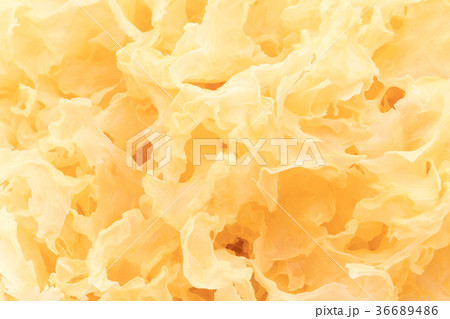 乾燥白キクラゲ:Dried White Wood Ear 36689486