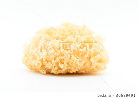 乾燥白キクラゲ:Dried White Wood Ear 36689491