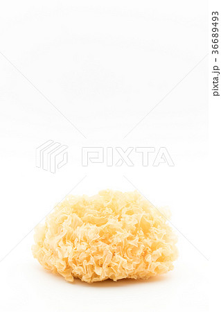 乾燥白キクラゲ:Dried White Wood Ear 36689493