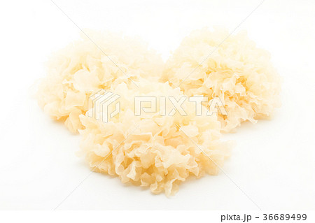 水にもどした白キクラゲ:White Wood Ear 水にもどした白キクラゲ:White Wood Ear 36689499