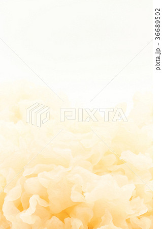 水にもどした白キクラゲ:White Wood Ear 36689502