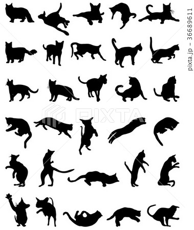 silhouettes of cats 36689611