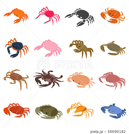 Crab icons set, isometric 3d style 36690182