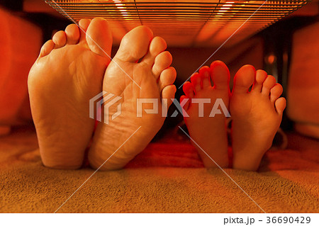 こたつ こたつ 36690429