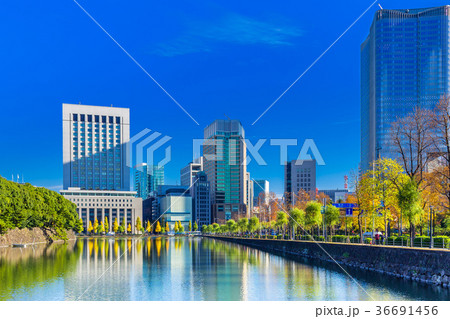 東京　皇居周辺の風景（日比谷濠） 36691456
