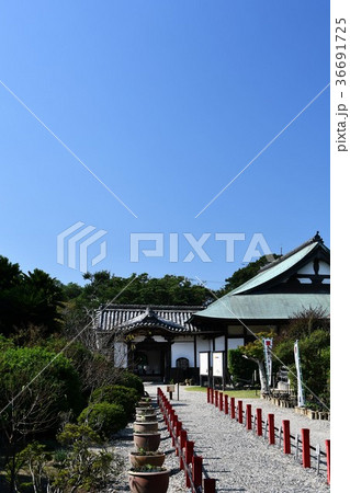 野間大坊　本殿　鐘楼堂　巡拝路　大門　悠紀殿 36691725