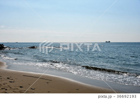 秋の野間崎灯台 秋の野間崎灯台 36692193
