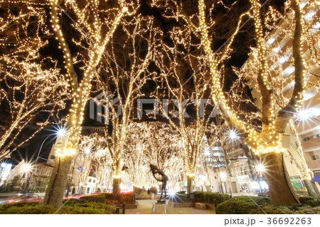 仙台光のページェント 仙台光のページェント 36692263