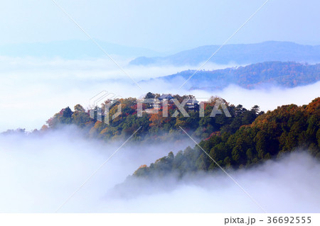 天空の山城 備中松山城 7011 天空の山城 備中松山城 7011 36692555