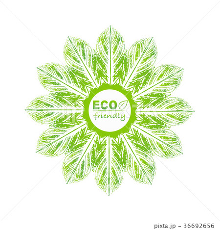 Eco friendly logo with green leaves 36692656