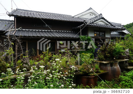 知覧武家屋敷庭園 36692710